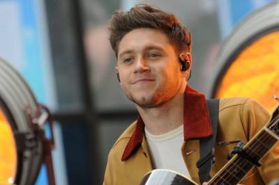 Niall Horan Remembers The ‘Madness’ Of One Direction’s Rise To Stardom - etcanada.com