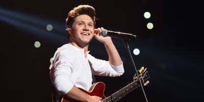 Niall Horan Says Being in One Direction Was Sometimes Like Being a 'Prisoner' Due to Fan Hysteria - www.justjared.com
