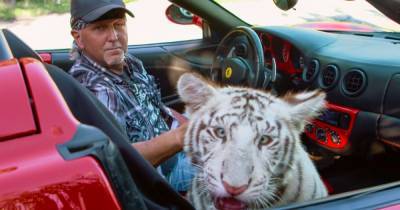 'Tiger King' star suffers stroke, suspects poisoning - www.wonderwall.com - Texas - Oklahoma
