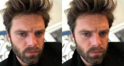The Falcon and the Winter Soldier's Sebastian Stan REVEALS he would play young Luke Skywalker on ONE condition - www.pinkvilla.com - county Barnes