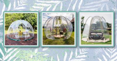 Garden igloos for spring – groundbreaking! The best transparent domes that will arrive in time for Easter - www.msn.com
