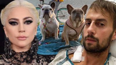 Lady Gaga's Dog Walker Says His Lung Collapsed Several Times Following Shooting, Gives Health Update - www.etonline.com