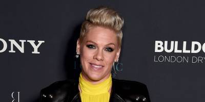 Pink Has a New Rescue Puppy & He Has the Cutest Name! - www.justjared.com - Los Angeles