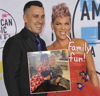 Pink's Rescue Pup -- See Her Family's Adorably Furry New Member HERE! - perezhilton.com