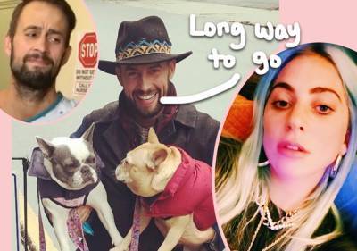 Lady GaGa's Dog Walker Shares Health Update Following Shooting, Says Lungs Collapsed MULTIPLE Times - perezhilton.com - France