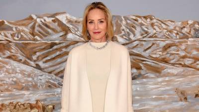 Sharon Stone Shares Gripping Details About Childhood Trauma, Stroke and Hollywood Toxicity in New Memoir - www.etonline.com - county Stone