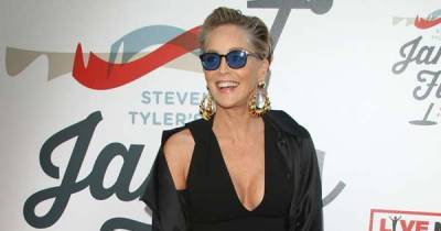 Sharon Stone hopes her memoir will help harassment victims - www.msn.com - Hollywood - county Stone