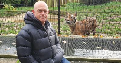 'You can’t go to Tesco's and get a tiger' - Britain's Tiger Kings uncovered by Ross Kemp in new ITV show - www.manchestereveningnews.co.uk - Britain - Manchester