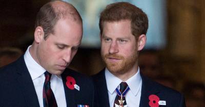 Prince Harry left more money than William in Queen Mother's will due to royal rule - www.dailyrecord.co.uk