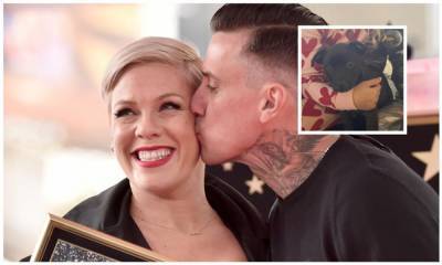 Pink introduces her new adorable family member! - us.hola.com - Los Angeles