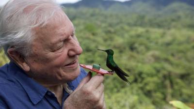 How Producers Of ‘Attenborough’s Life In Colour’ Overcame A Covid-Ravaged Shoot To Deliver Early For The BBC & Netflix - deadline.com - Costa Rica