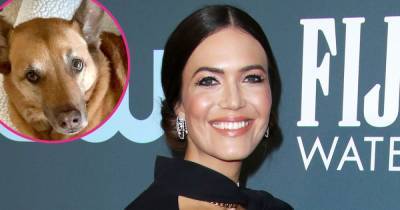 Mandy Moore Says ‘Relief’ Over Finding Out Her Dog Is Cancer-Free Helped Induce Her Labor - www.usmagazine.com