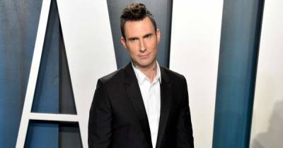Where have all the bands gone? Well, Adam Levine is in one himself - www.msn.com