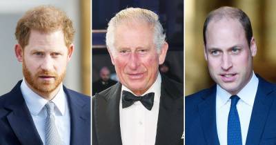 Prince Harry Feels ‘Let Down’ by Father Prince Charles, Talks Relationship With William - www.usmagazine.com