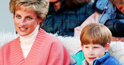 How Much Money Did Princess Diana Leave to Prince Harry? - www.usmagazine.com