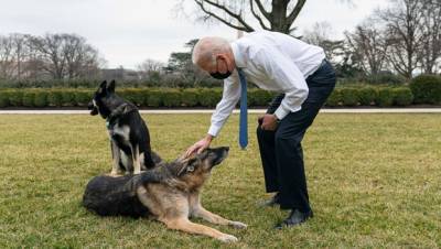 Joe Biden’s Dogs Kicked Out Of White House After Alleged Aggressive Behavior Biting Incident — Report - hollywoodlife.com - Germany - state Delaware