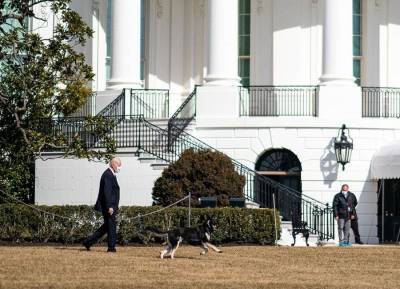Joe Biden’s two dogs sent back to Delaware after biting incident - evoke.ie - Germany - state Delaware