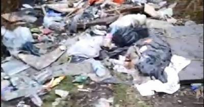 Outrage at 'mountain' of rubbish found in Salford - www.manchestereveningnews.co.uk - Manchester