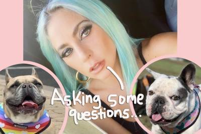 Lady GaGa Hasn’t Paid Hefty Reward To Woman Who Returned Her Dogs As Cops Investigate Possible Gang Initiation - perezhilton.com