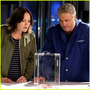 William Petersen Will Return For 'CSI: Vegas' Reboot on CBS With Jorja Fox - www.justjared.com - Las Vegas