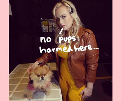 Rebel Wilson’s Pooch Perfect Faces Accusations Of Animal Abuse On Twitter - perezhilton.com