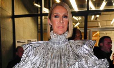 Celine Dion stuns in cropped top and mini skirt for celebratory throwback photos - hellomagazine.com