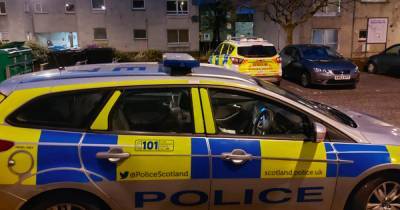 Drugs and weapons seized by cops in Scots town as 12 arrested or charged - www.dailyrecord.co.uk - Scotland