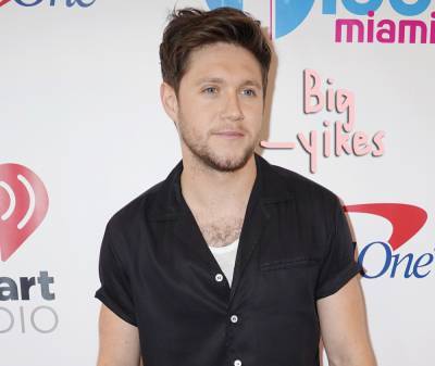 Man Arrested After Allegedly Trying To Break Into Niall Horan's Home -- TWICE! - perezhilton.com - Ireland