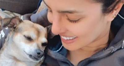 Priyanka Chopra captures a ‘Mommy and I’ moment with her puppy Diana as she enjoys a ‘Perfect Saturday’ - www.pinkvilla.com