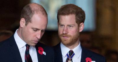 Prince Harry and William will stand side-by-side at Philip's funeral amid rift - www.dailyrecord.co.uk - Britain