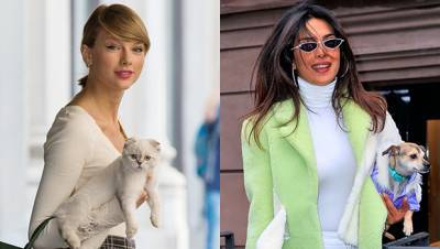 National Pet Day: Taylor Swift, Kylie Jenner More Show Love To Their Furry Friends In Sweet Pics - hollywoodlife.com
