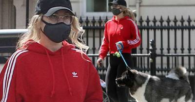 Henry Cavill's new girlfriend walks his dog Kal after going official - www.msn.com