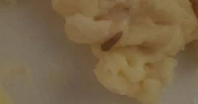 Scots woman disgusted after finding 'insect' in takeaway mac and cheese - www.dailyrecord.co.uk - Scotland