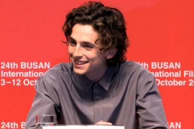 Thank you, Hollywood, for giving us so many Timothée Chalamet movies - www.hollywood.com