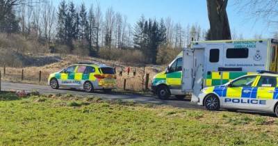 Police continue enquiries after man found in Airdrie woodland - www.dailyrecord.co.uk - Scotland