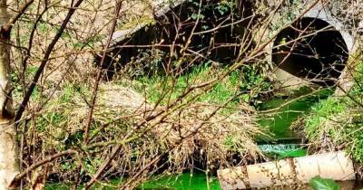 Why green liquid has been flowing into the River Tame in Mossley - www.manchestereveningnews.co.uk - Manchester