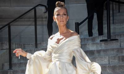 Celine Dion leaves fans ecstatic as she makes exciting announcement - hellomagazine.com