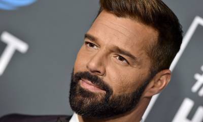 Ricky Martin shares rare picture of twin son as they relax on private jet - hellomagazine.com