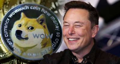 Dogecoin price skyrockets to an all-time high as Elon Musk drives DOGE frenzy with memes - www.msn.com