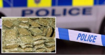 Drug mule jailed for 16 months after being found with 1.3kg of cannabis - www.dailyrecord.co.uk - county Murray