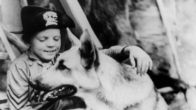 Lee Aaker, Child Star of ‘The Adventures of Rin Tin Tin,’ Dies at 77 - variety.com