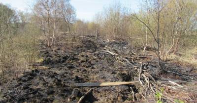 Concern for wildlife after devastating fire 'decimates' Salford nature reserve - www.manchestereveningnews.co.uk