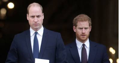 William and Harry to walk apart at Prince Philip's funeral - www.manchestereveningnews.co.uk