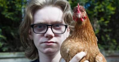 Boy, 15, 'devastated' as he's told to get rid of pet chickens he says are his 'future' - www.manchestereveningnews.co.uk - Manchester