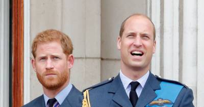 Queen orders Princes Harry and William to be separated behind Philip's coffin - www.dailyrecord.co.uk