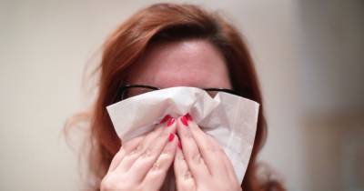 Hay fever warning as UK pollen count at 'high' levels - www.manchestereveningnews.co.uk - Britain