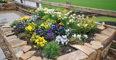 Lanarkshire gardening group to appear on BBC Country File - www.dailyrecord.co.uk