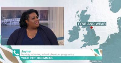 This Morning's Alison Hammond 'told off' by Dr Scott during pet segment - www.manchestereveningnews.co.uk