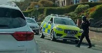 Armed police race to Scots street amid reports of man wielding firearm - www.dailyrecord.co.uk - Scotland