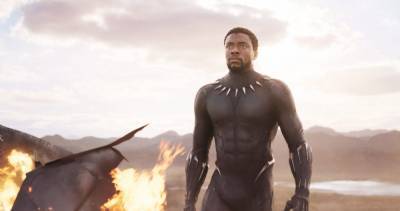 ‘Black Panther’ Fans Petition To Recast Chadwick Boseman’s King T’Challa - etcanada.com